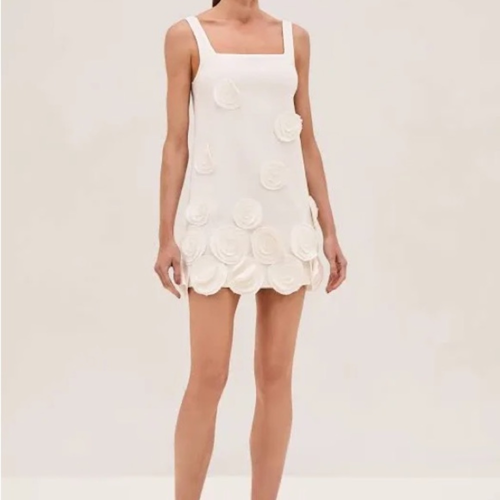Alexis Astor Dress - worn once